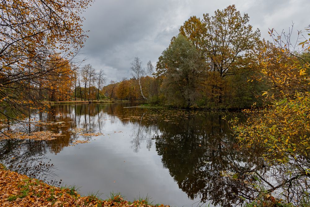 Фотография автора Алексей Бирин