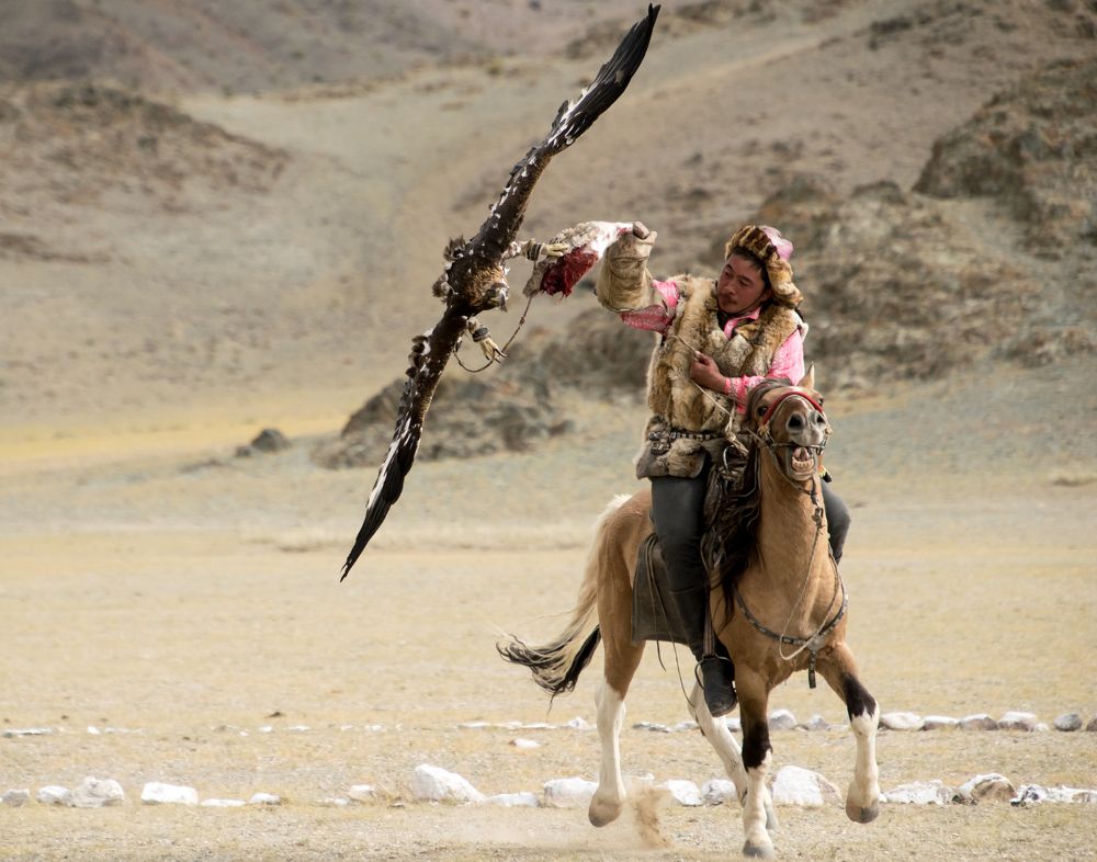 Фотография автора Марина Корреа Ластра