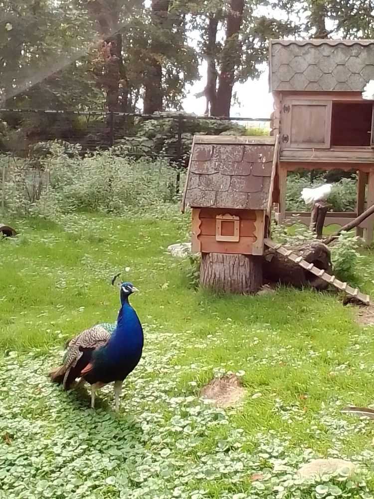 Фотография автора Irina Mihailovskaya