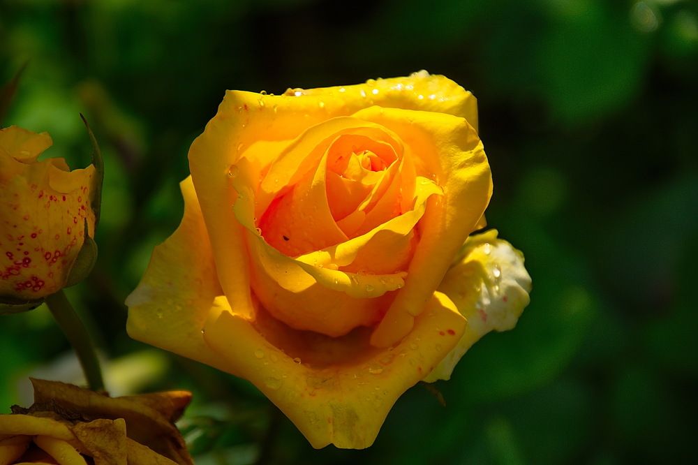 Photograph by Василий Быстрицкий