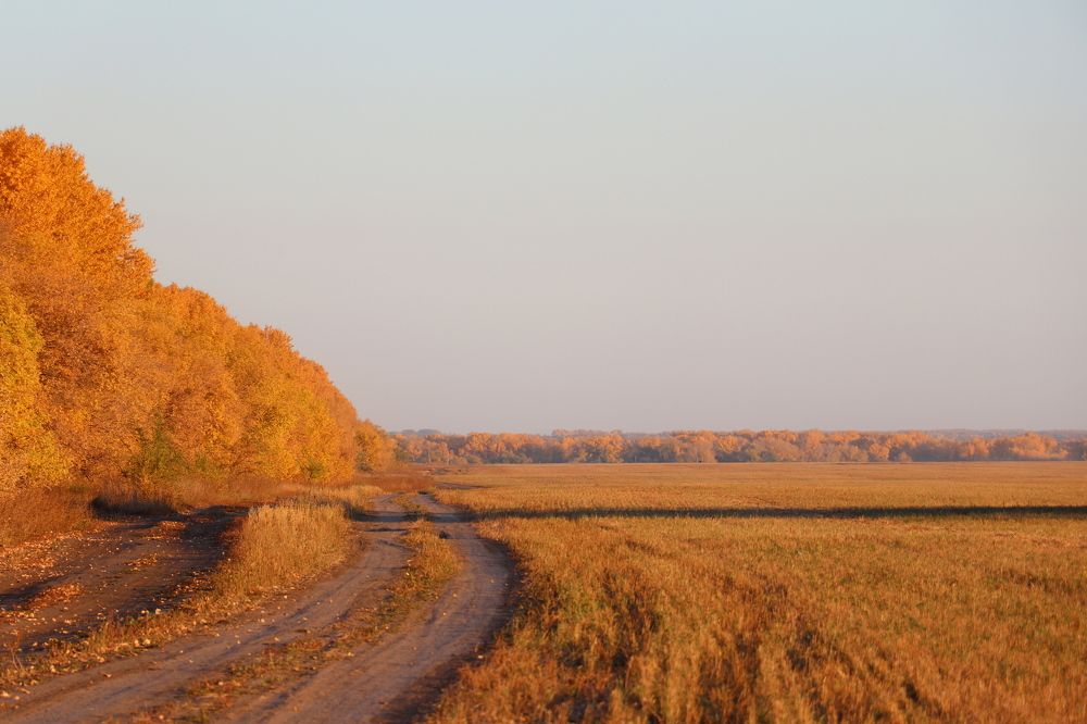 Photograph by Юлия Гринвальд