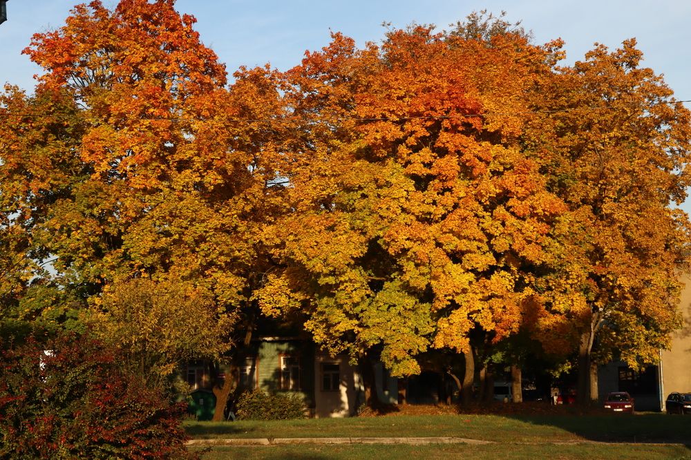 Photograph by Inna Klimaševska