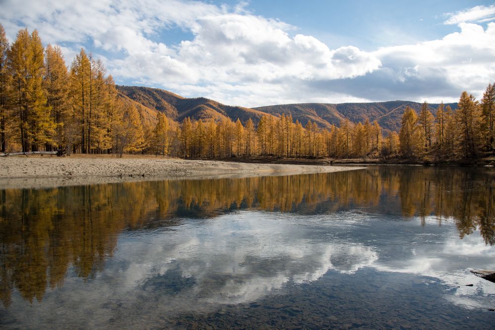 Фотография автора Марина Корреа Ластра