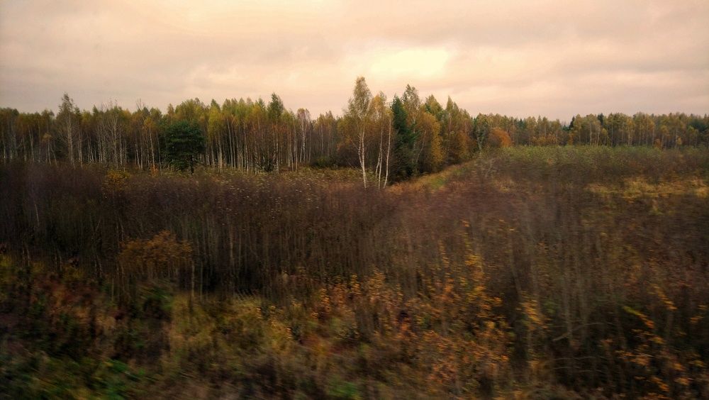 Photograph by Анастасия Павлова