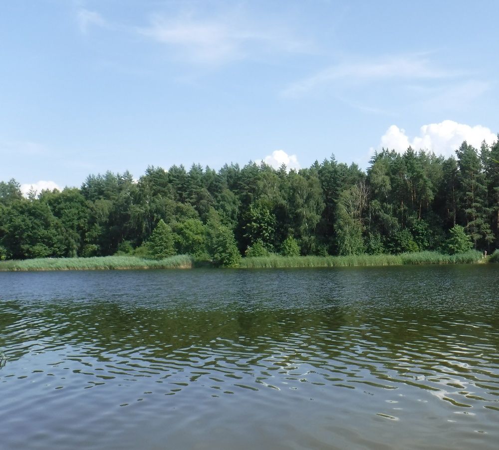 Фотография автора Елена Сухорученкова