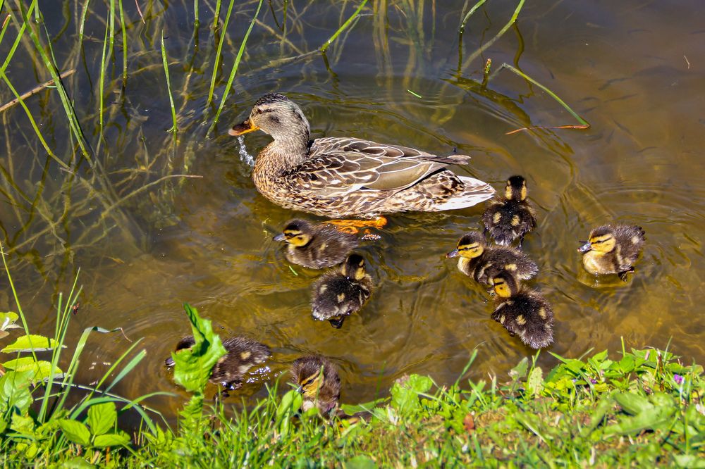 Фотография автора Алексей Бирин