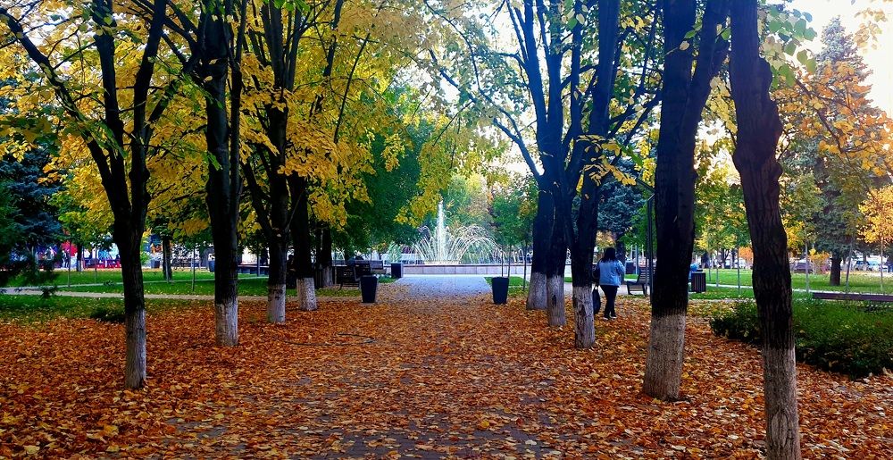 Фотография автора Метушова Анна