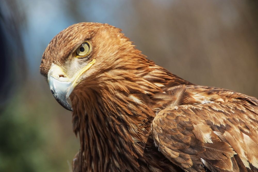 Фотография автора Aleksej Musatov