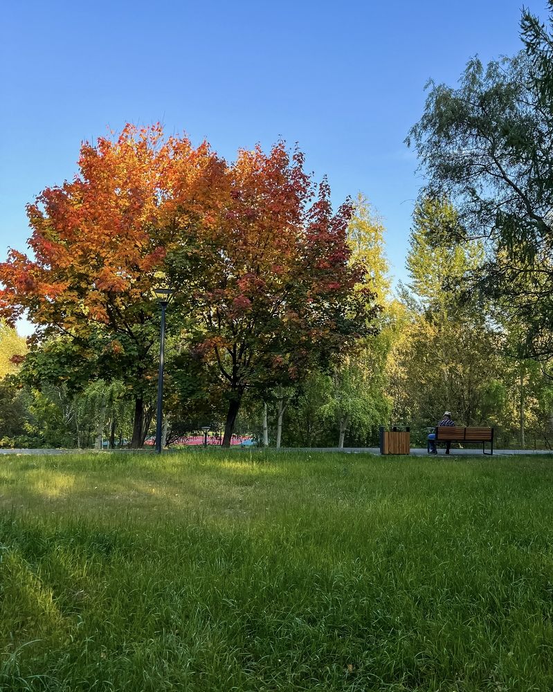 Photograph by Михаил Сорокин