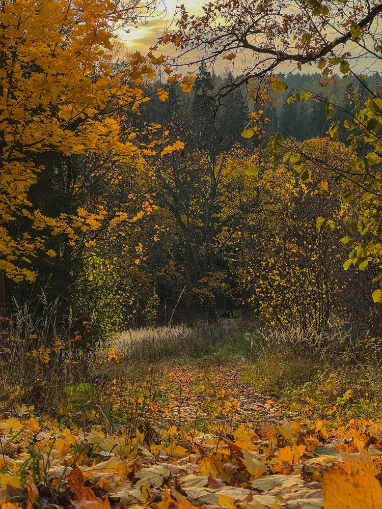 Photograph by Михаил Сорокин