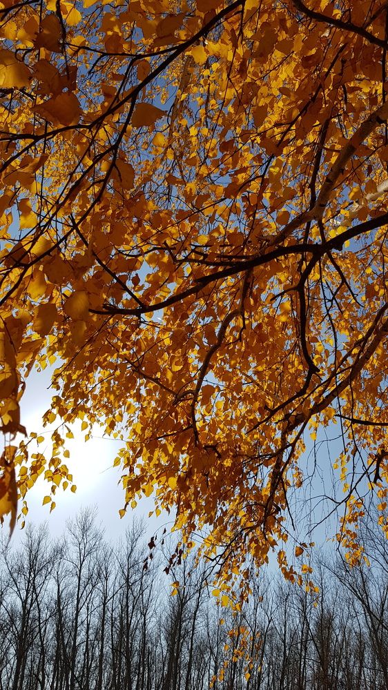 Photograph by Юлия Гринвальд