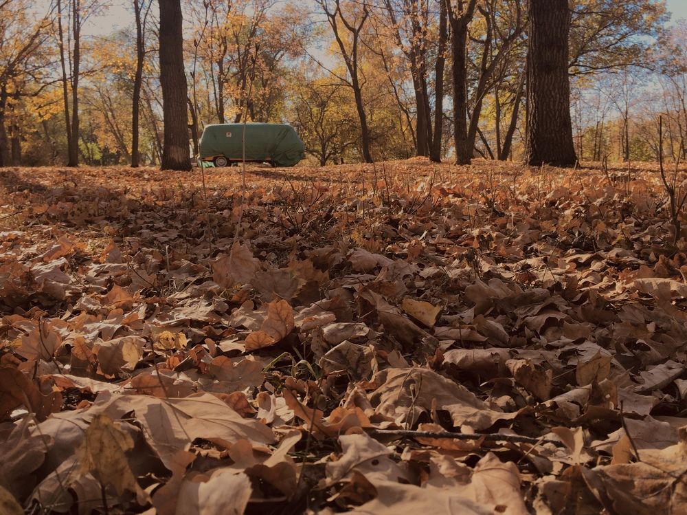 Фотография автора Балановская Виктория