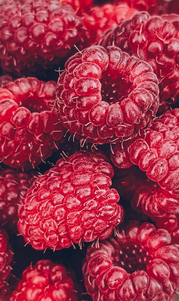 Photograph by Юлия Якубова