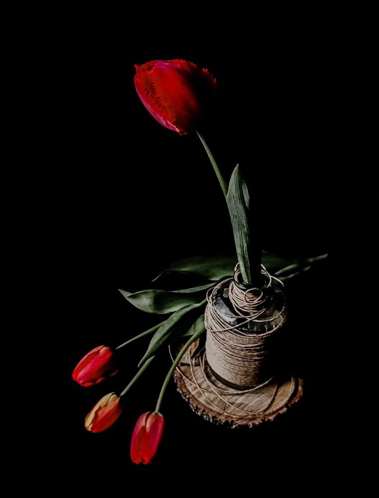 Photograph by Юлия Якубова