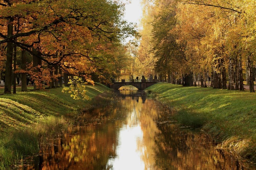 В Александровском парке - Царское Село