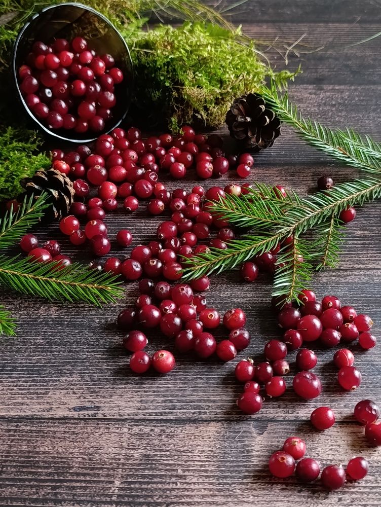 Фотография автора Светлана Таркан