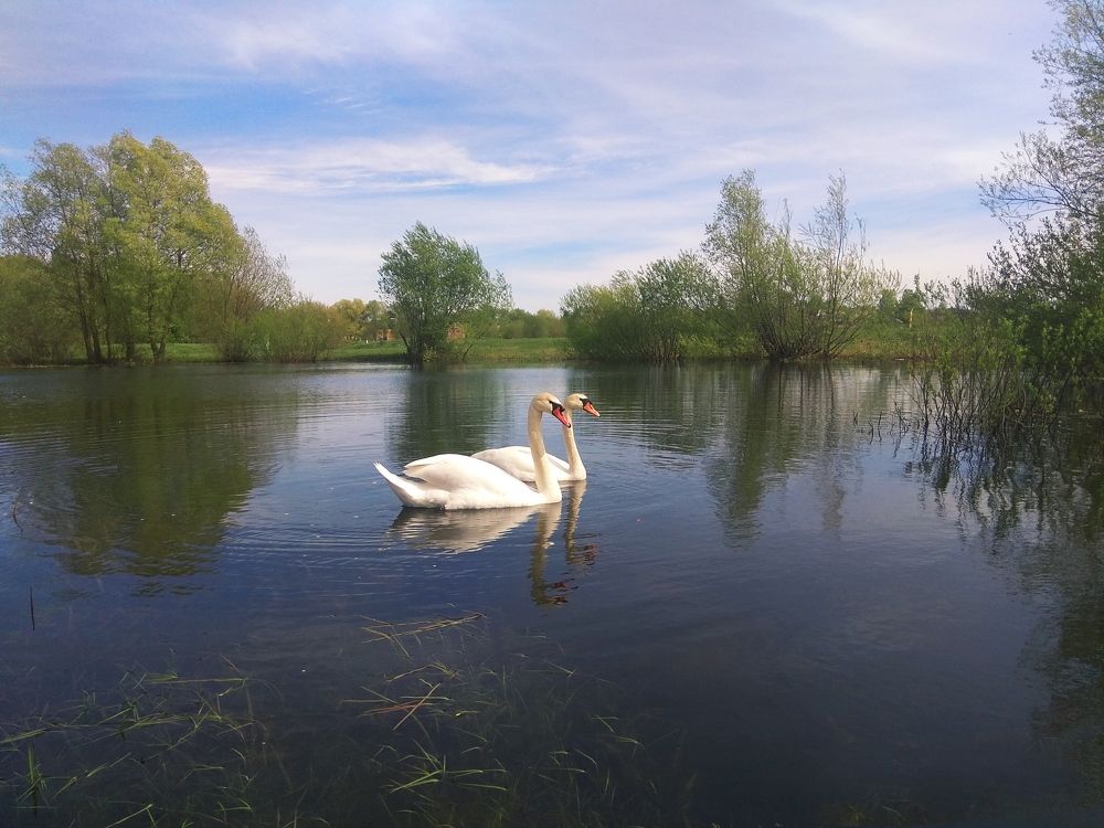 Фотография автора Светлана Таркан