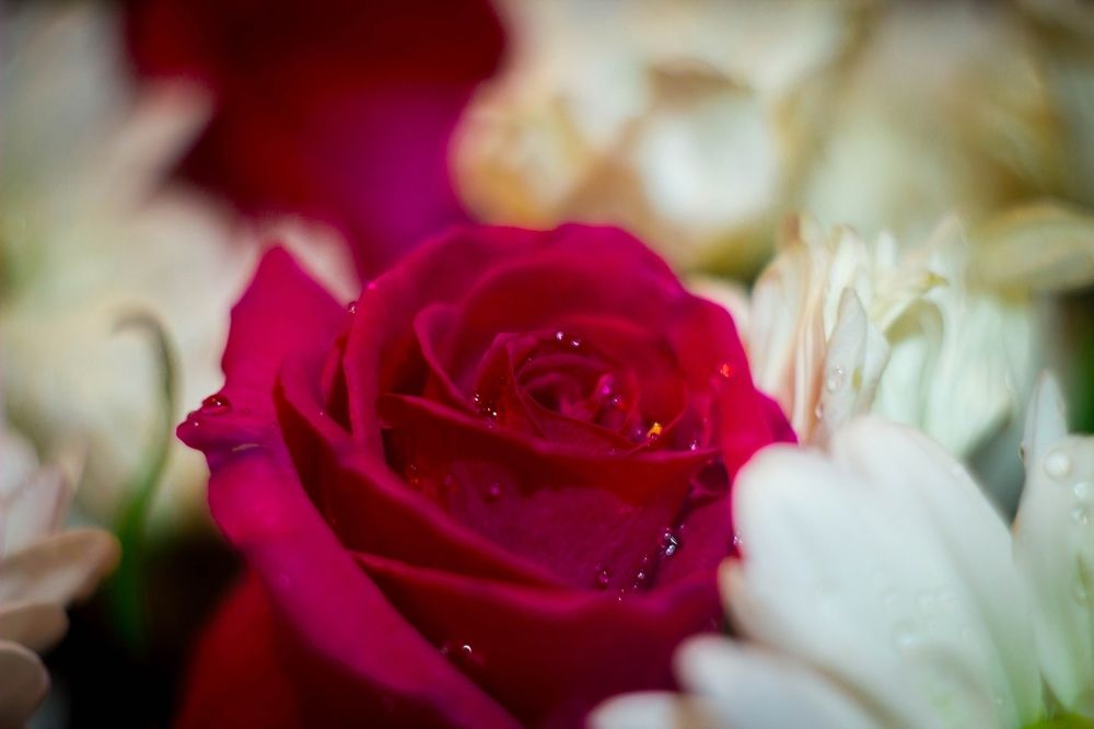 Фотография автора Иван Карпов