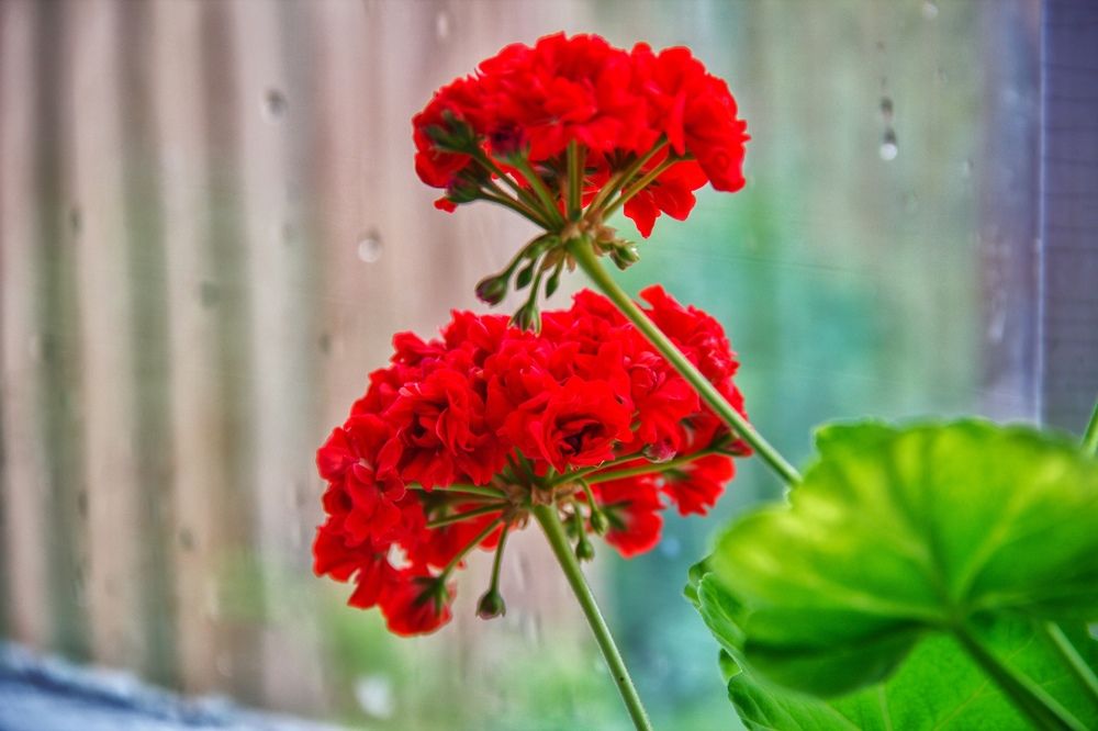 Фотография автора Иван Карпов