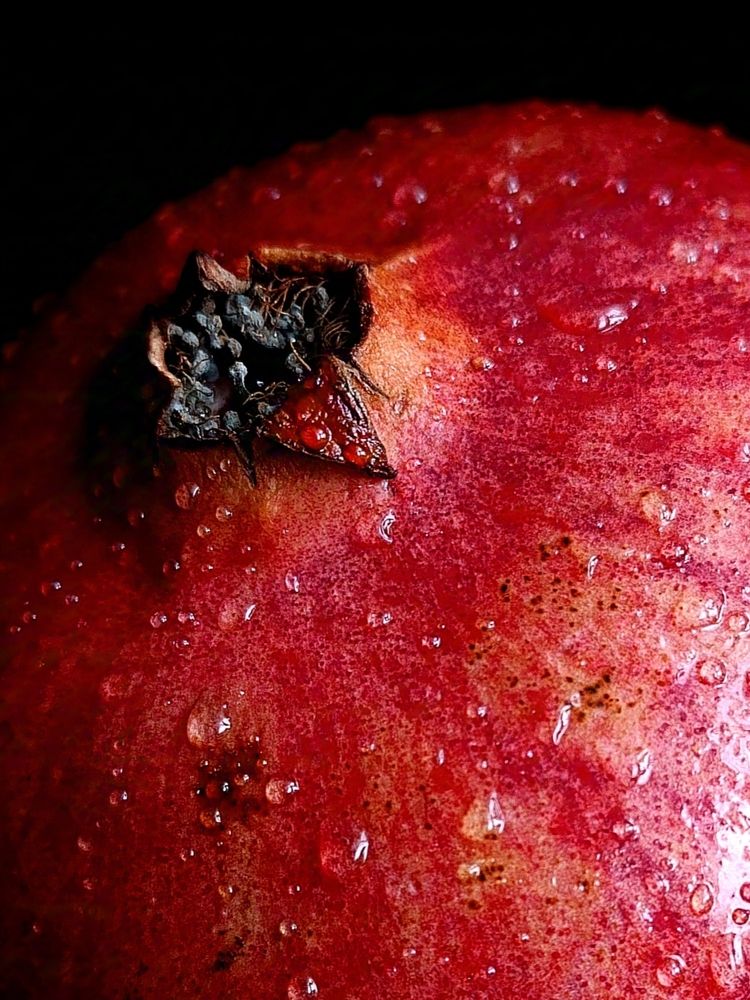 Фотография автора Светлана Таркан