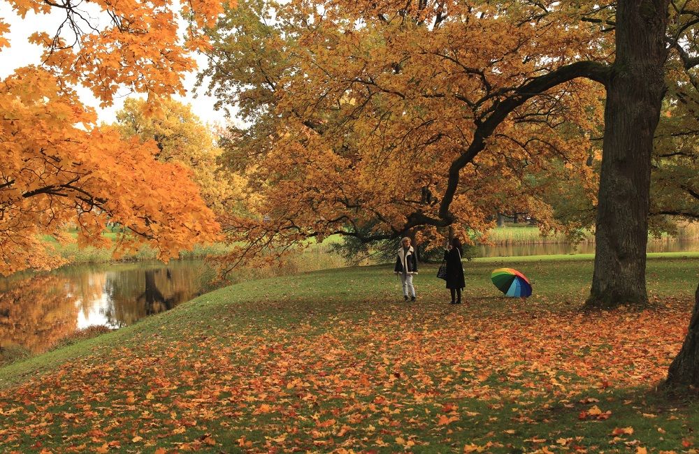 Нескучная осень