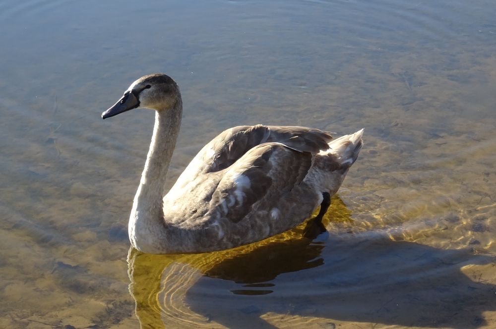 Photograph by Inna Klimaševska