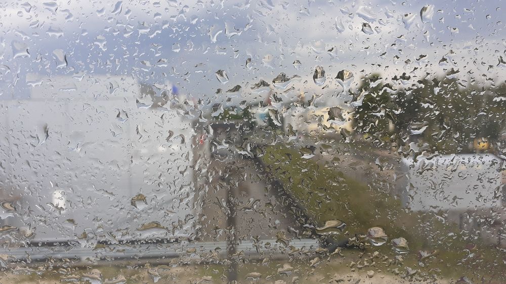 Фотография автора Елена Лещева