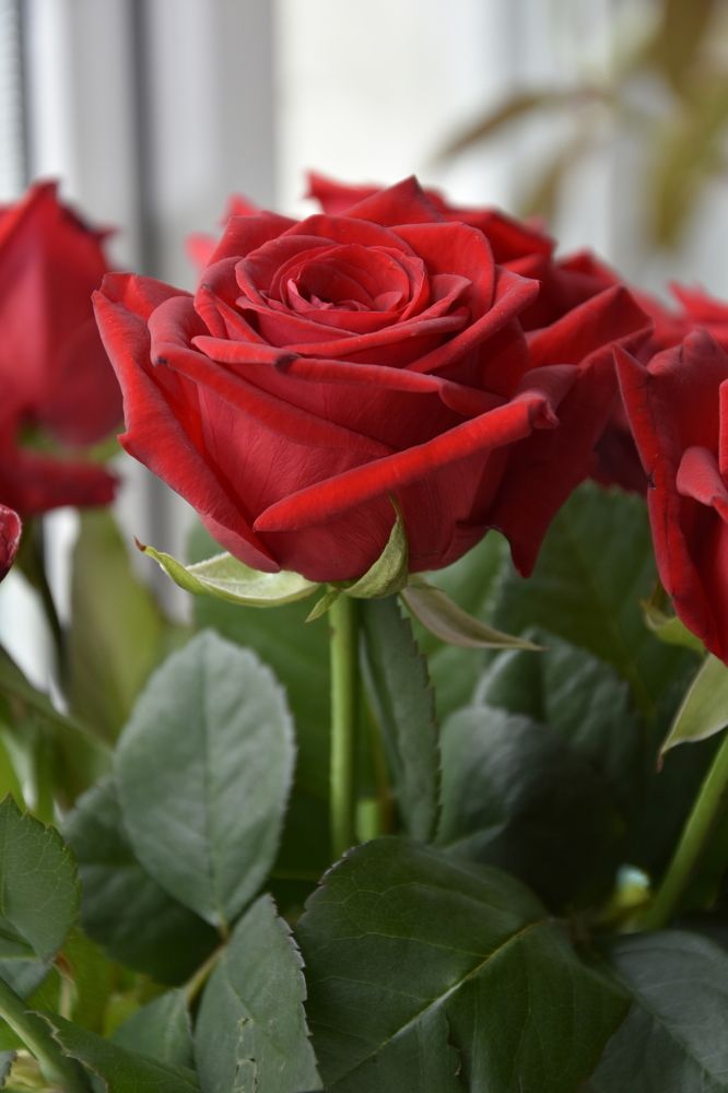 Фотография автора Юлия Ю.