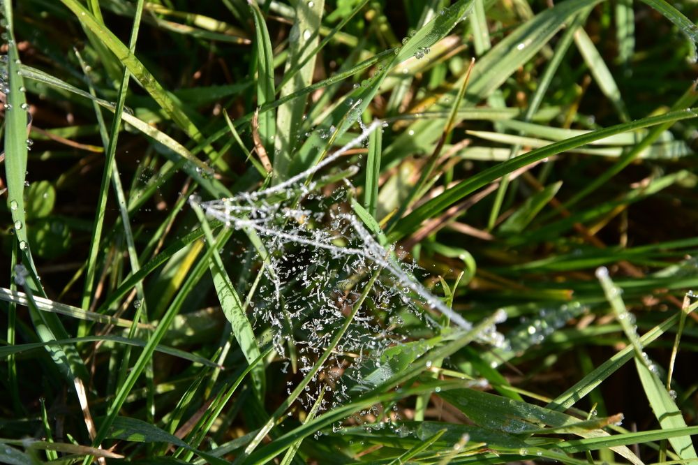 Фотография автора Юлия Ю.