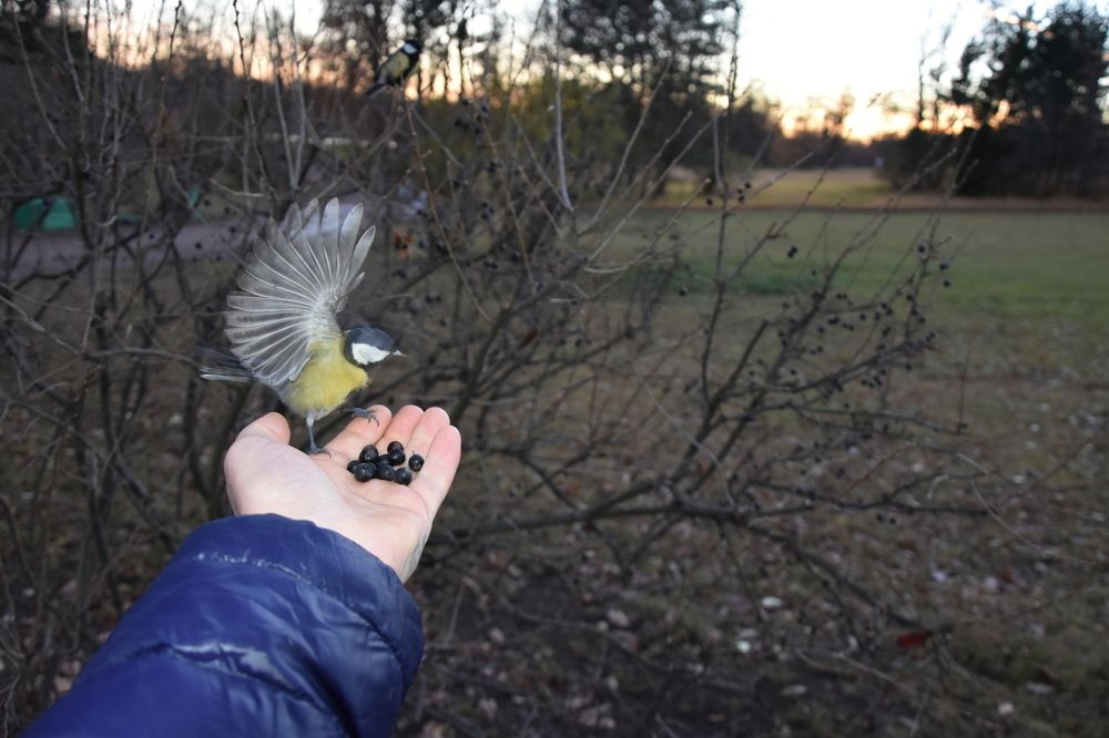 Фотография автора Юлия Ю.
