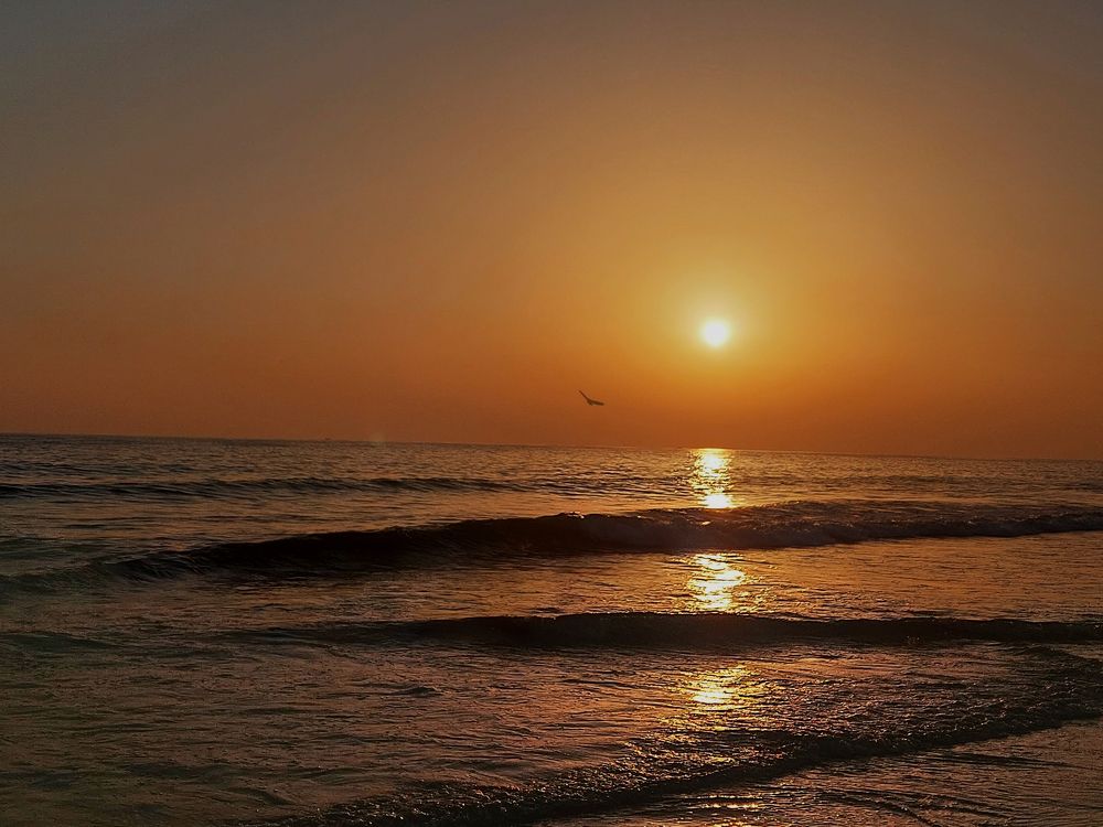 Photograph by reyhaneh zeidabadi nezhad