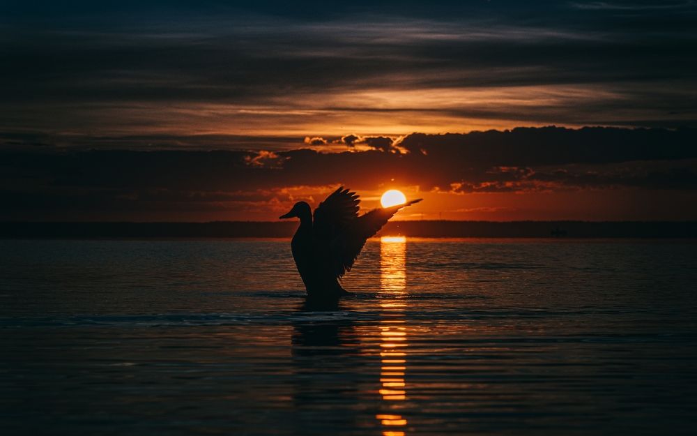 Фотография автора Ольга Попова