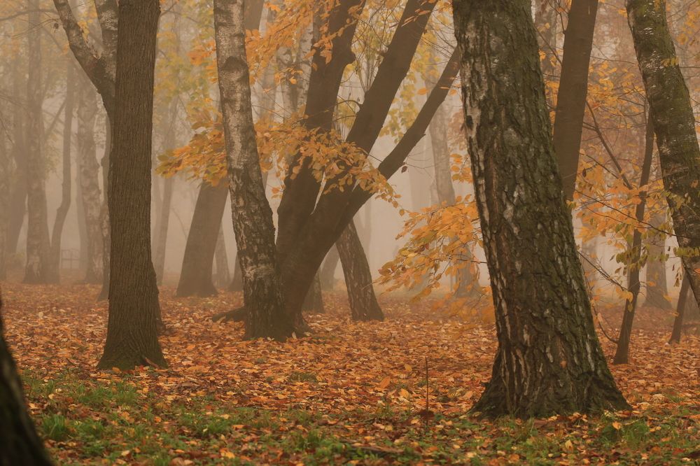 Photograph by Сергей Кульков