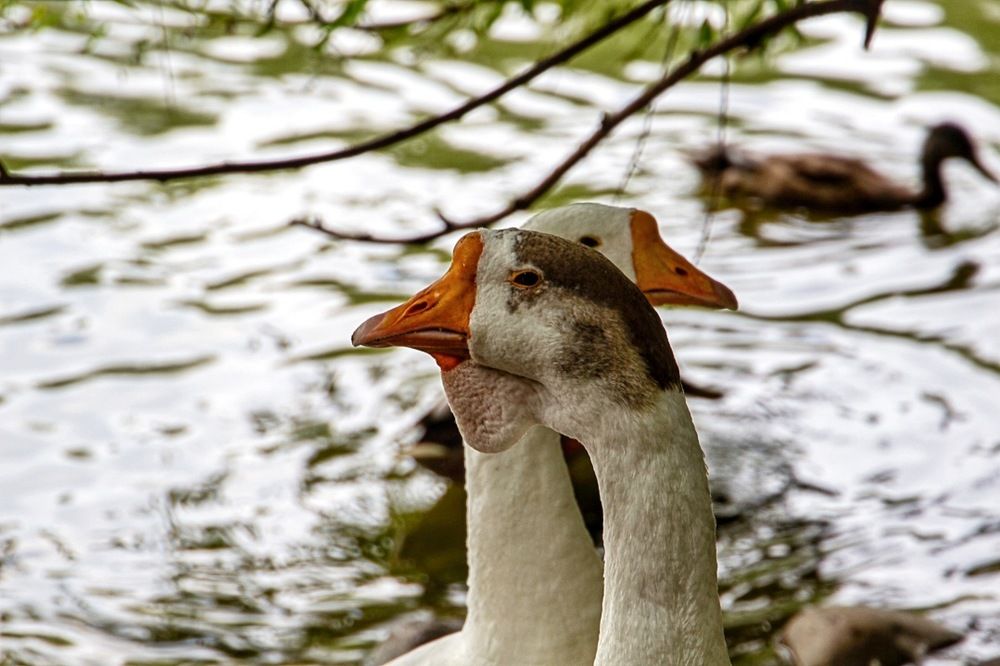 Фотография автора Екатерина Першина