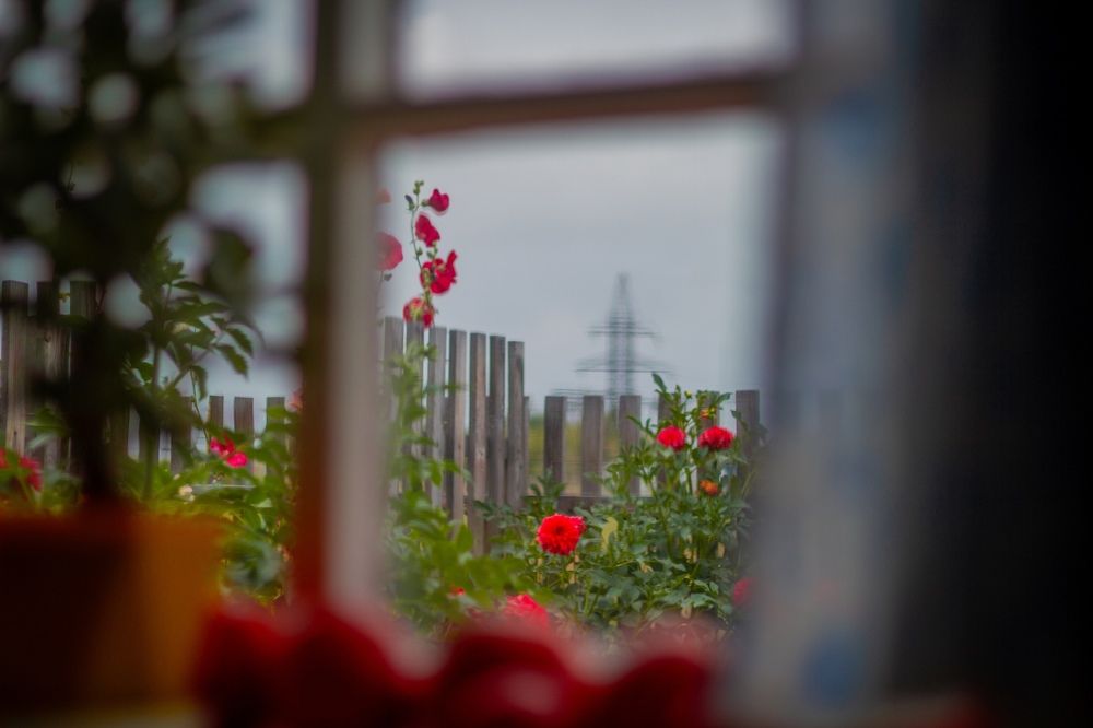 Фотография автора Иван Карпов