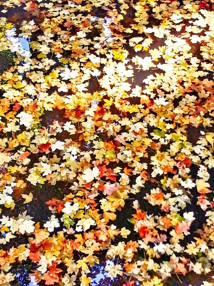 фото на galaxynote2