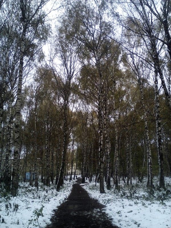 Елена, Russia