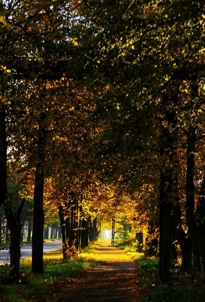 Фотография автора Сергей Яковлев