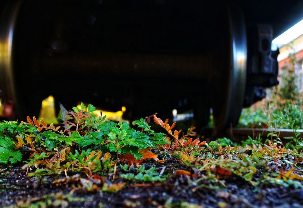 Фотография автора Сергей Яковлев