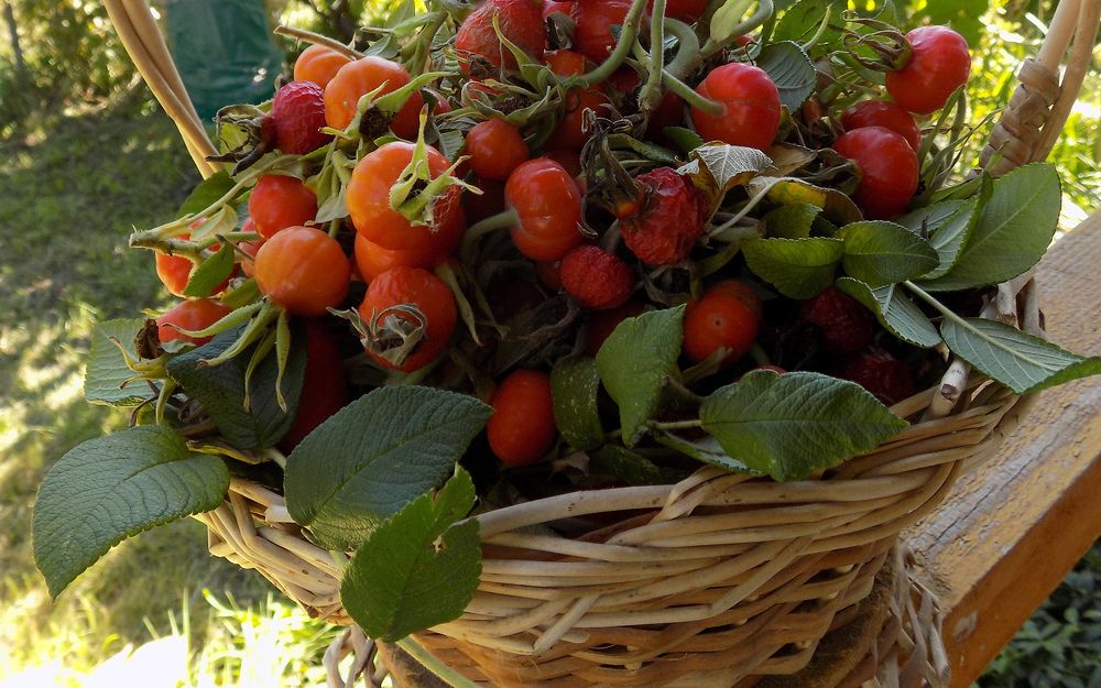 Photograph by Серега Вартман