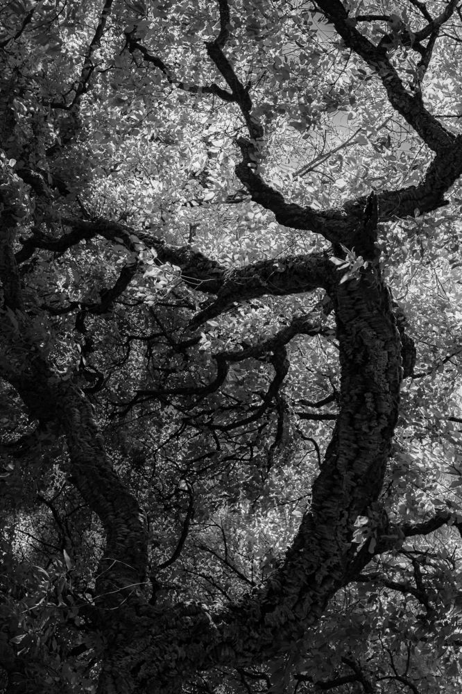 Фотография автора Екатерина Першина