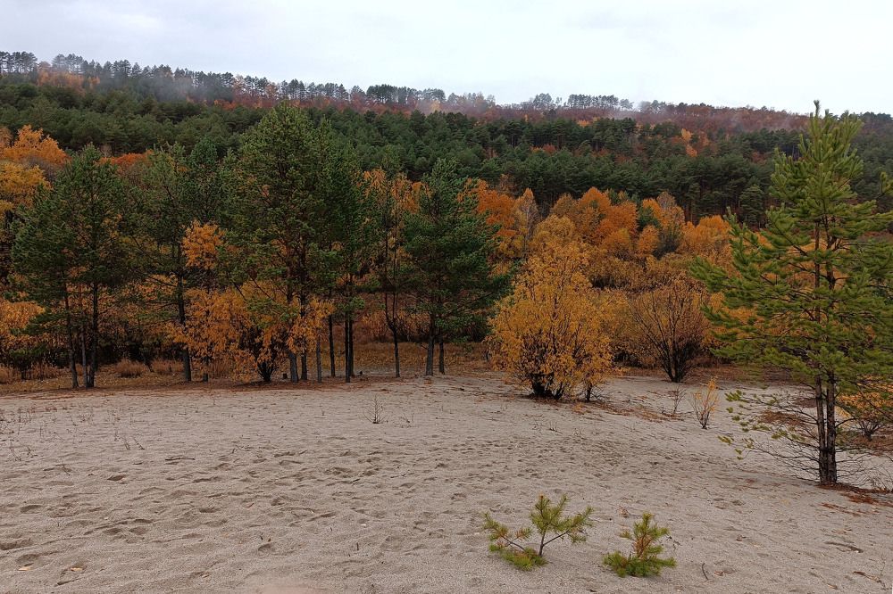 Photograph by Екатерина Пачина