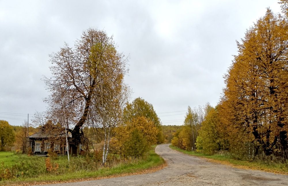 Photograph by Михаил Попов