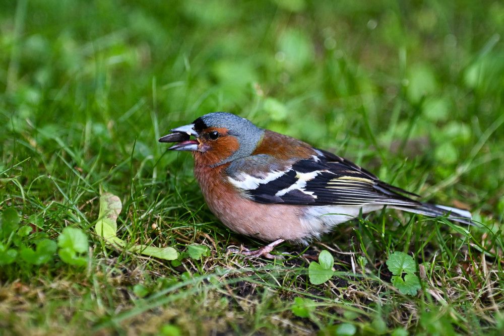 Photograph by Юлия Кузнецова