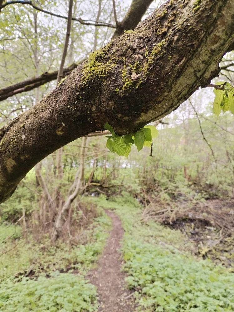 Фотография автора Юлия Ю.