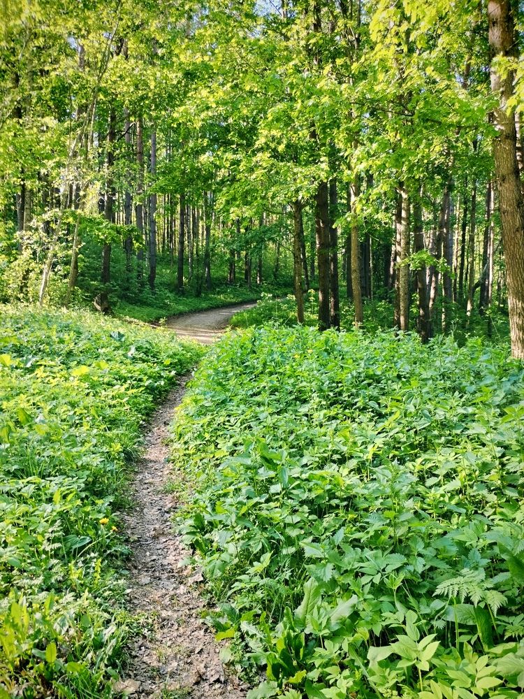 Фотография автора Юлия Ю.