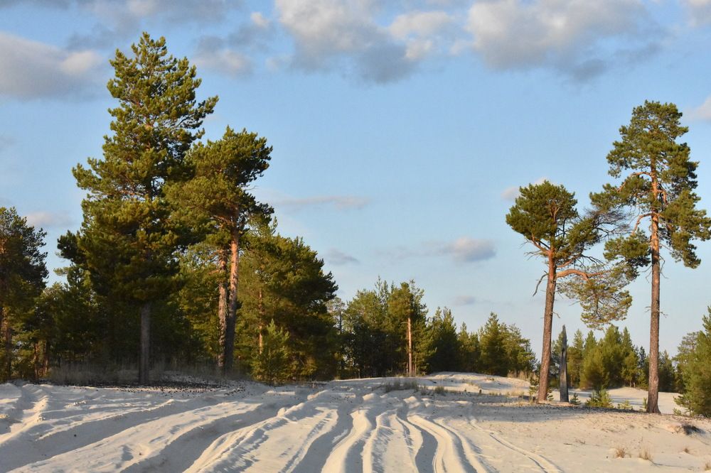 Песчаный берег озера в Сибири