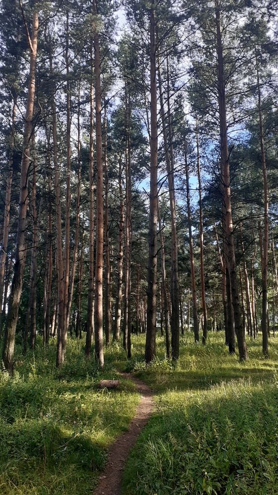 Фотография автора Елена Лещева