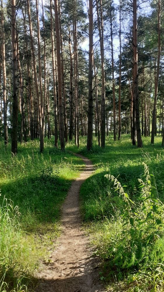 Фотография автора Елена Лещева