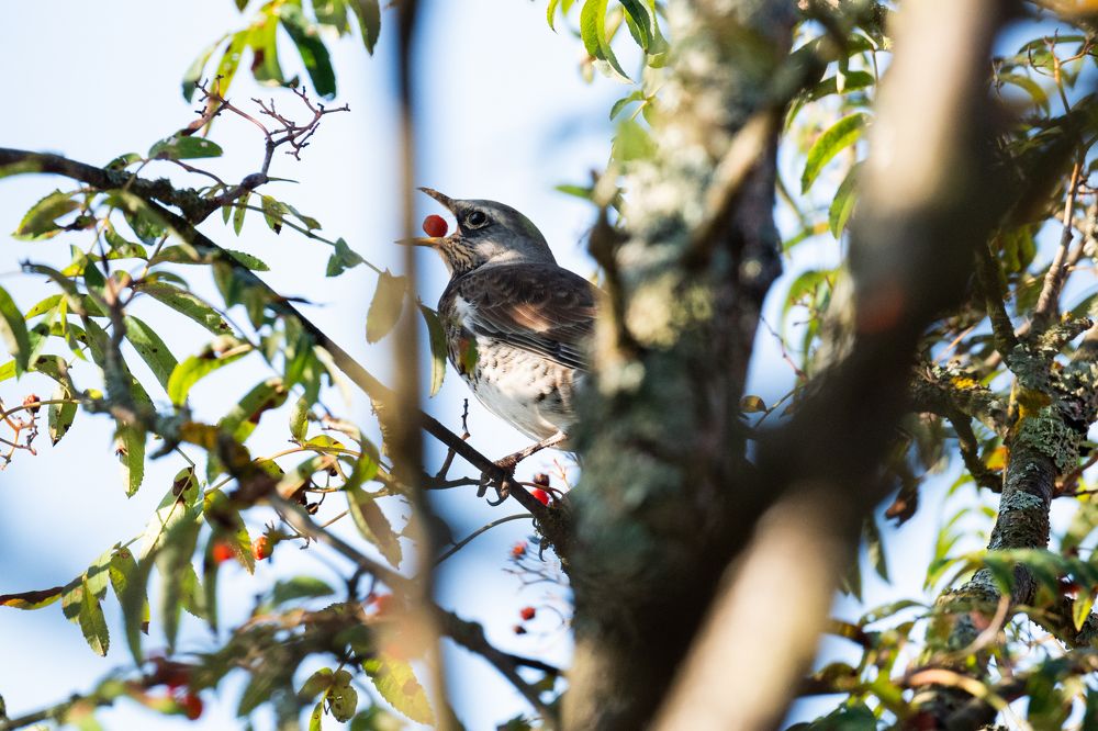 Фотография автора Лейла Матар